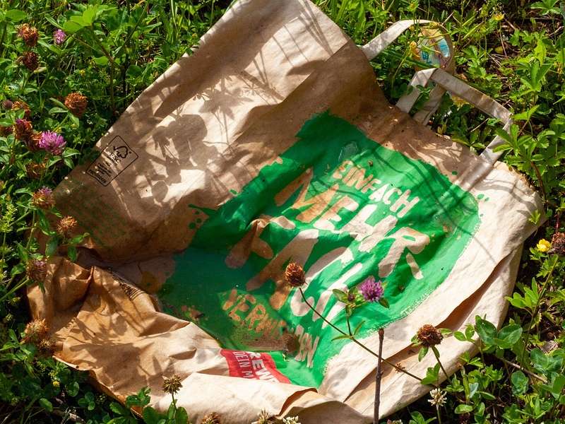 Reciclaje de cartón para Valencia