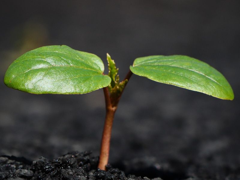 Asesoría medioambiental en Castellón